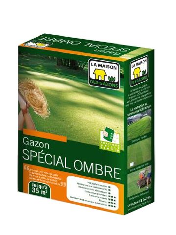GAZON OMBRE TR4 - BTE 1 KG-0